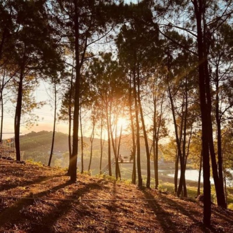 Quảng Bình Discovery